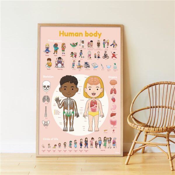Poppik - Gran Póster de Pegatinas "El Cuerpo Humano" - Imagen 3